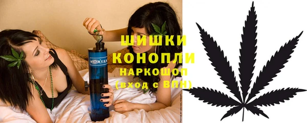 бутират Богородицк