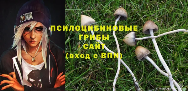 круглые Бронницы